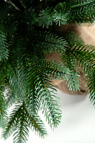 Ель CRYSTAL TREES ИЗУМРУДНАЯ ЭДИТ 60 см. KP5060